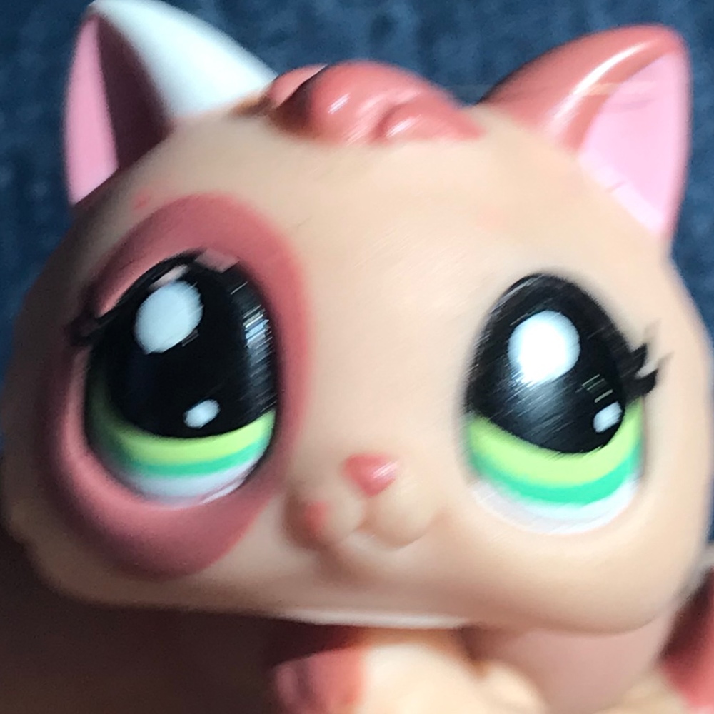 Meet your Posher, Posh